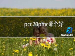 pcc pmc哪个好