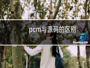 pcm与源码的区别