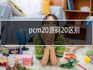 pcm 源码 区别