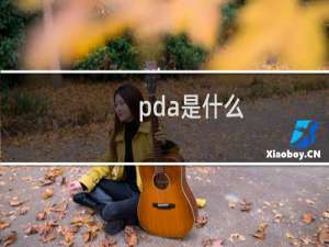 pda是什么