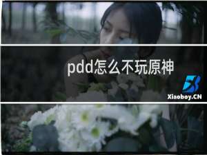 pdd怎么不玩原神