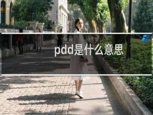 pdd是什么意思