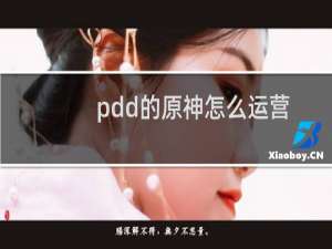 pdd的原神怎么运营