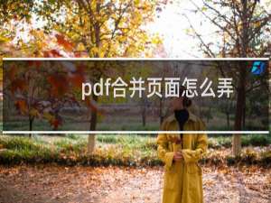 pdf合并页面怎么弄