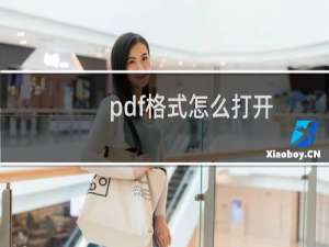 pdf格式怎么打开（pdf格式打开）