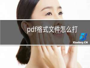 pdf格式文件怎么打开（如何打开pdf格式文件）