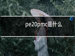 pe pmc是什么