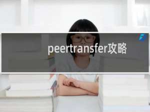 peertransfer攻略