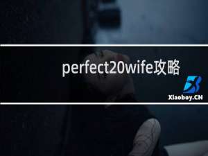 perfect wife攻略