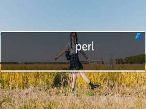 perl php