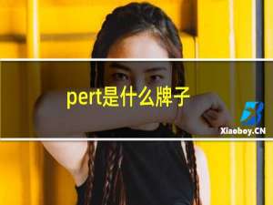 pert是什么牌子（Pert是什么管子啊）