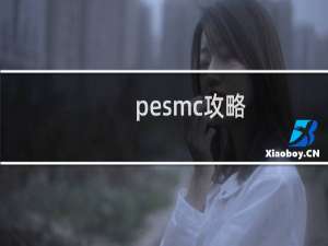pesmc攻略