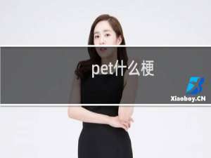 pet什么梗