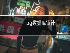 pg数据库审计