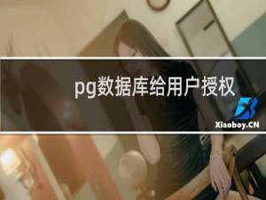 pg数据库给用户授权