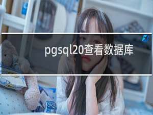 pgsql 查看数据库