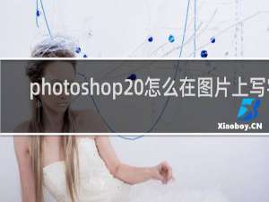 photoshop 怎么在图片上写字