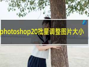 photoshop 批量调整图片大小