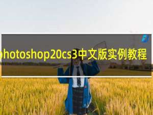 photoshop cs3中文版实例教程