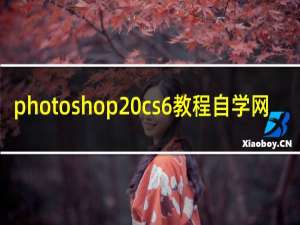 photoshop cs6教程自学网