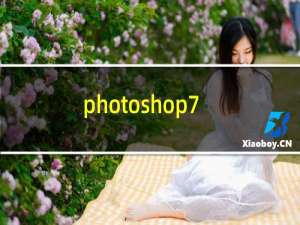 photoshop7.0教程视频下载