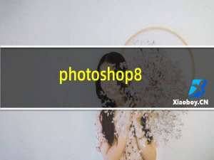photoshop8.0视频教程