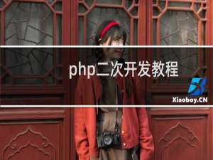 php二次开发教程