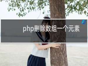 php删除数组一个元素
