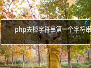 php去掉字符串第一个字符串