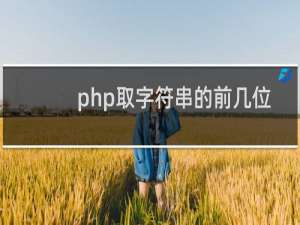 php取字符串的前几位