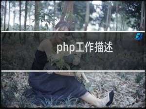 php工作描述