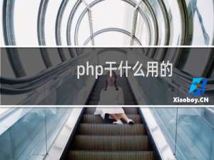 php干什么用的