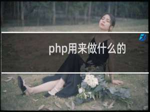 php用来做什么的