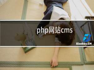 php网站cms