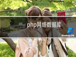 php网络数据库
