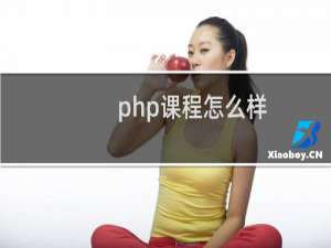 php课程怎么样