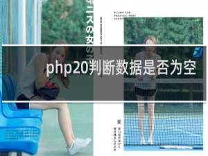 php 判断数据是否为空
