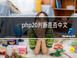php 判断是否中文