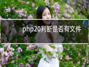 php 判断是否有文件