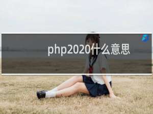 php  什么意思