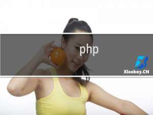 php curl获取header