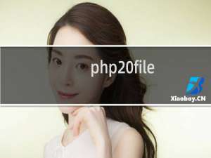 php file_get_contents 方法返回超过4万