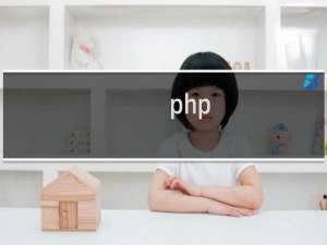 php implode函数