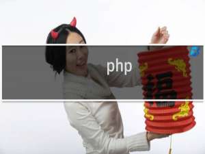 php mysql_fetch_array