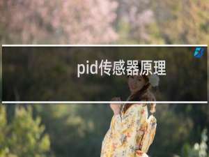 pid传感器原理
