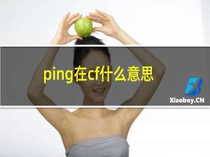 ping在cf什么意思