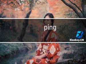 ping