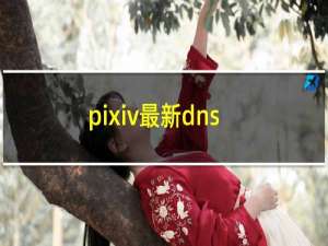 pixiv最新dns