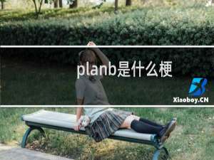 planb是什么梗（plan是什么梗）