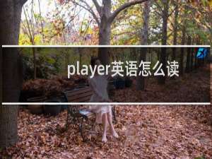 player英语怎么读